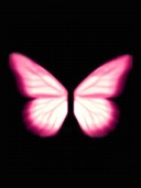 Pink Butterfly.jpg