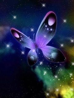 Butterfly.jpg