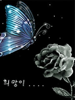 Butterfly_With_Rose.jpg