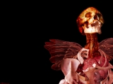 Bone angel.jpg