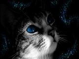 Dreaming-516328.jpg