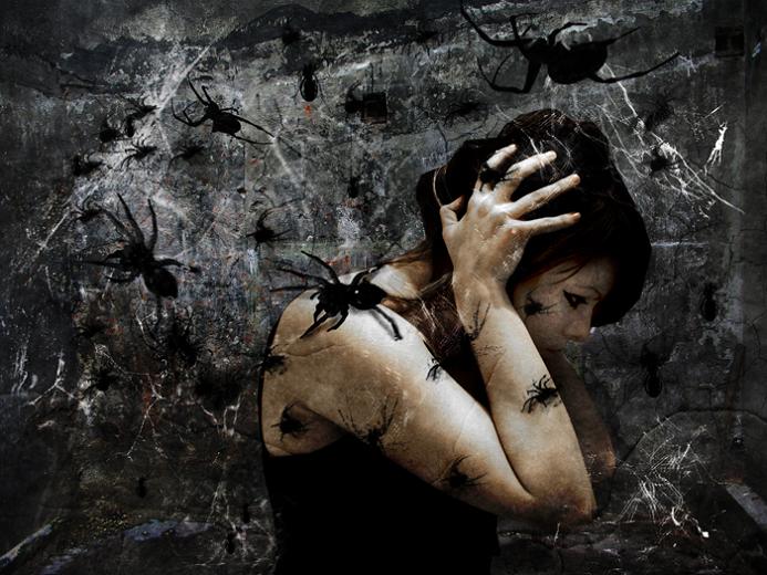 I love spiders.jpg
