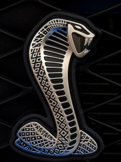 Mustang_Viper_Gt500.jpg