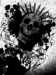 Skull 5.jpg