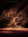 The_Secret_Tree.jpg
