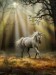 Unicorn.jpg