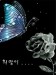 Butterfly_With_Rose.jpg
