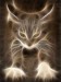 Cool_Cat.jpg