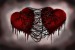 7f2f35d17e_38492799_o2.jpg