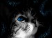 Dreaming-516328.jpg