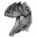 Head dino.jpg