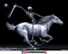 skeleton and Horse.jpg