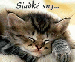 sladke sny.gif