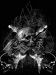 Guitar_Skull.jpg